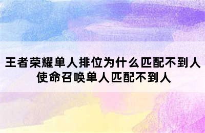 王者荣耀单人排位为什么匹配不到人 使命召唤单人匹配不到人